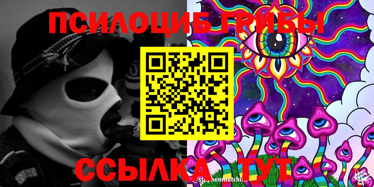 Галлюциногенные грибы Psilocybe Кисловодск