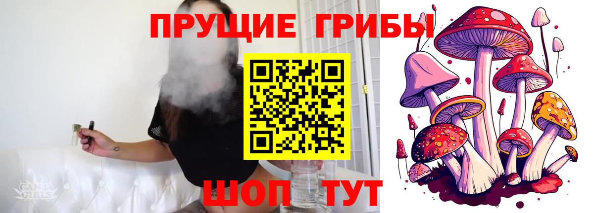 хочу   Галлюциногенные грибы Psilocybe  Вход с VPN  Кисловодск 